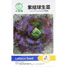 ˷Nݴȫؼt~ɳļ˷NϷ̨