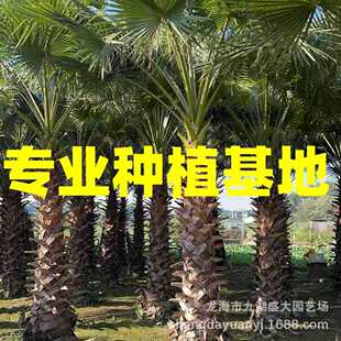 ���K�Aʢ�D�ؙ��DƬ �������˿���r �F�����˿����l�㽭�A�؃r��