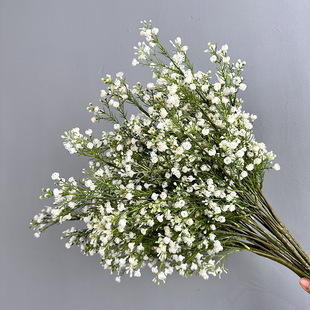 С���S�ҝM�������l���滨�ٻ����Q�廨�Ҿ��b�c����������