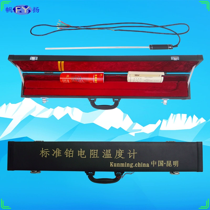 WZPB-1 первоклассный стандартный платиновый термометр сопротивления WZPB-2 WZPB-9 WZPB-8 термического сопротивления второго класса