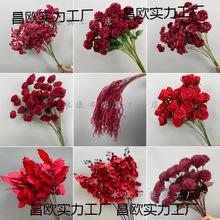 ��c��Y��ˇ�tɫ���ı����b廨õ���ȼ������҃ȿ͏d�[�O