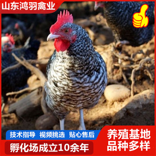 ���ۼ��N�J���uһ������ �¾G�����a����ɢ�B����J���u�ɻ��ʸ�