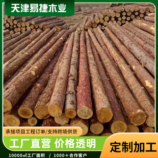Piling Wood Greening Support Rod Outdoor River Engineering Flood Control Cylindrical Wood Manufacturer Wholesale Round Wood Pile