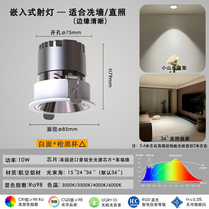 75 hole 10W gun Black