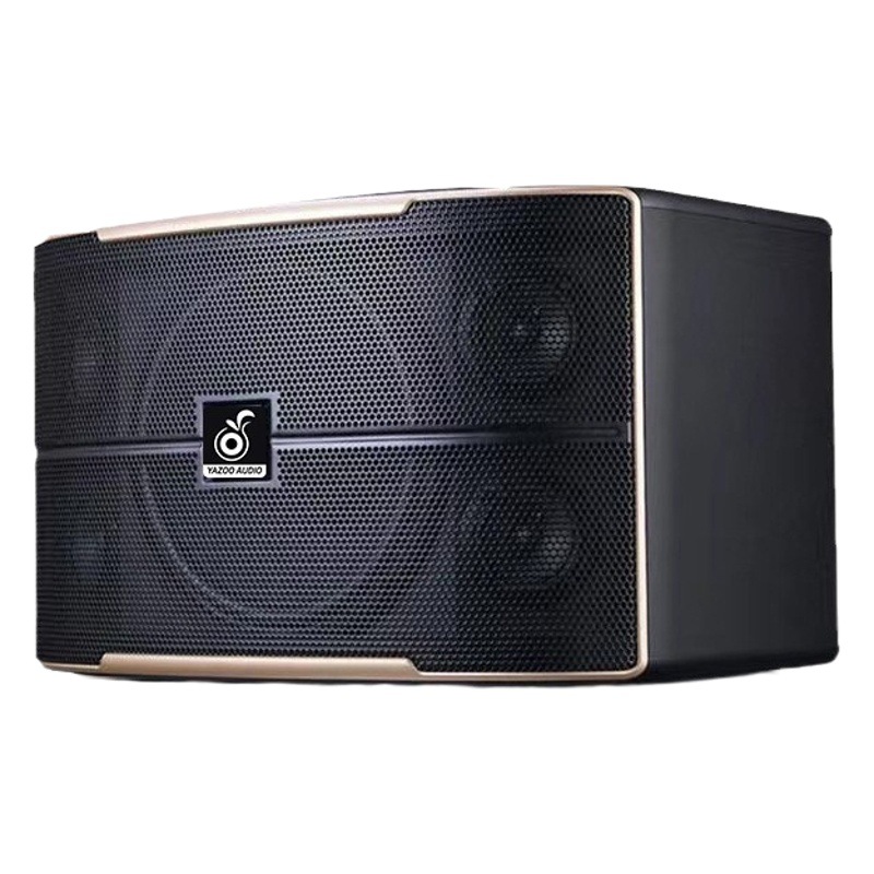 Venta al por mayor personalizado solo 10 pulgadas titular de la tarjeta profesional altavoz al aire libre karaoke transmisión en vivo hogar sala de estar familia KTV audio traje