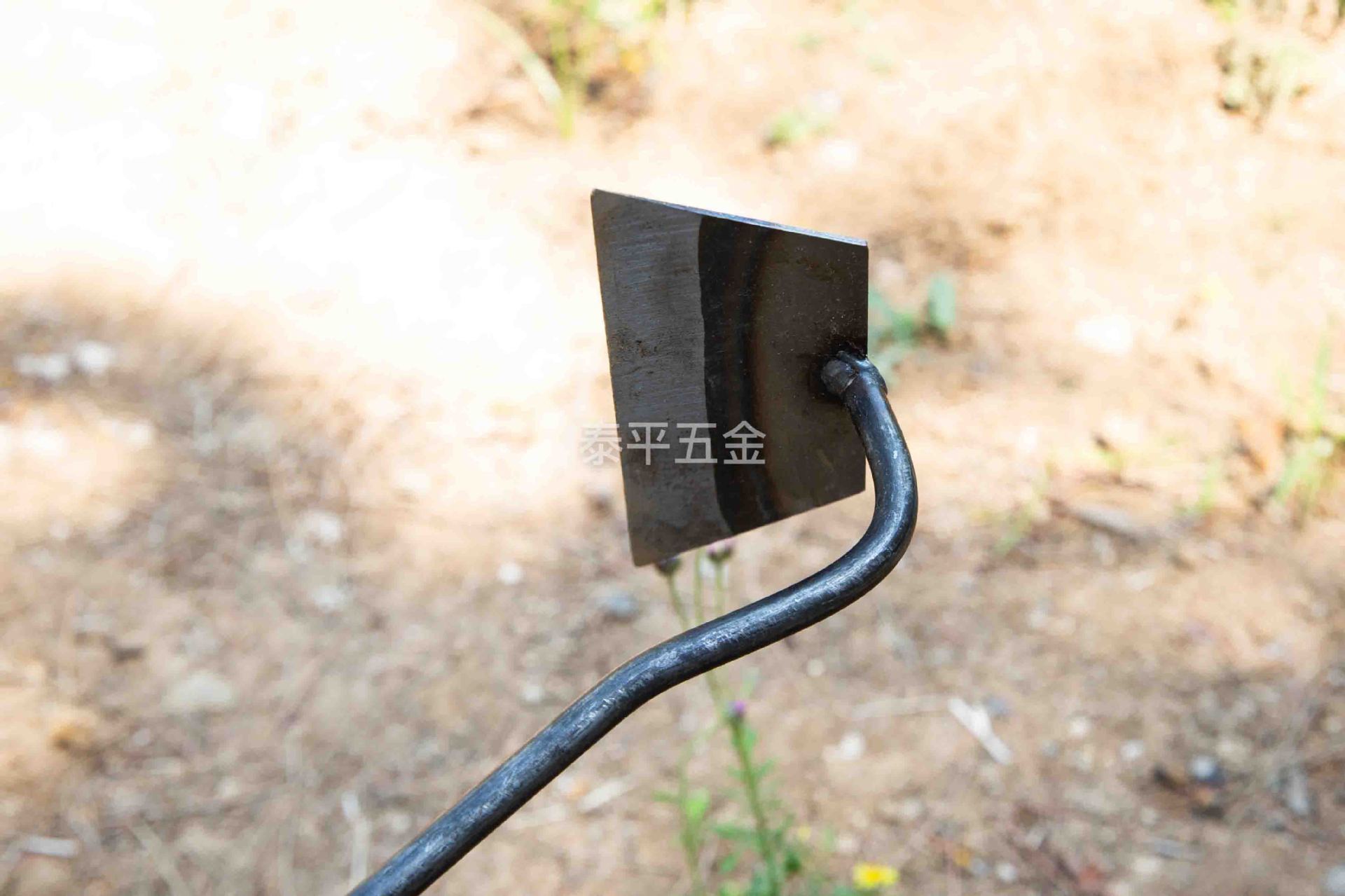 _S5A0099 拷贝_0018__S5A9886