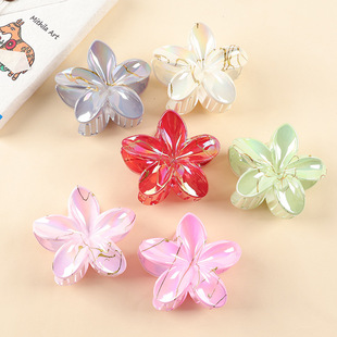 �W��͸����z�u����ץ�A����l�A��ɫ�l��X�׸߼��бP�l���~�A