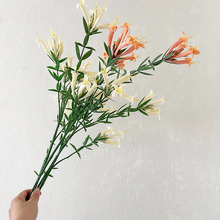 ���滨  ���̻�  �S��ɺ�� ��֧�ٻ� �|�ρ� �Ҿ� ܛ�b  ���ﻨ��