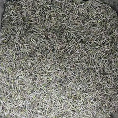 原産地の高山福鼎白茶はうなずいて2024年に白の銀の針の食感はあっさりしています。