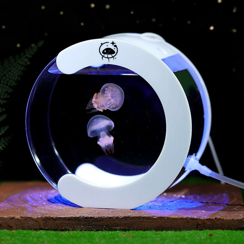 Аквариумы для домашних животных маленький экологический аквариум мини-детский живой ребенок