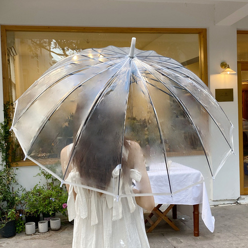 Japanese fresh sixteen-strand white side long handle Internet celebrity transparent umbrella thickened and widened wind-resistant simple fashion umbrella