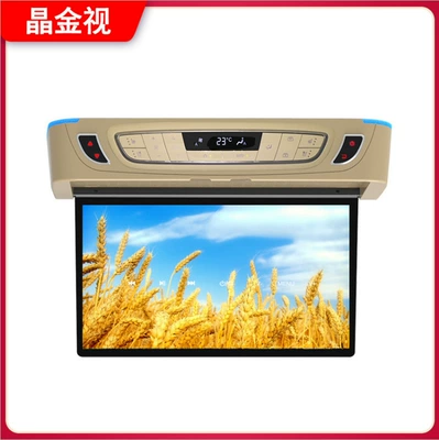 In-Car 17.3inch Inch Ceiling-Mounted Car display - 156-inch-electric