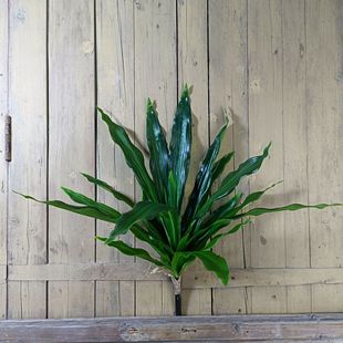 ���������F�����Gֲ�b���ľ��ֲ���҃���ؔ[�������쾰���滨