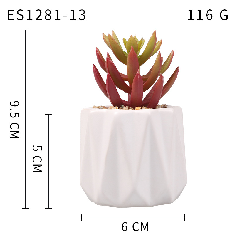 Pequeña ola al por mayor taza tipo simulación planta suculenta nórdico Muebles de Oficina Decoración fresca nuevo producto