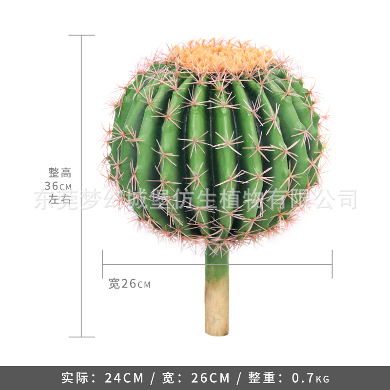 Simulación nórdica Planta verde Pilar de hadas Cactus grande piso interior sala de estar ropa tienda decoración de ventana