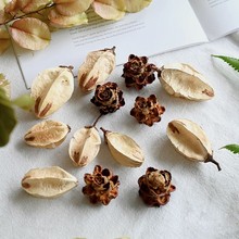 �M�ڹ�����Ȼֲ�����diy�˱�������������ɹ����b�ֹ��Ҿ��b�