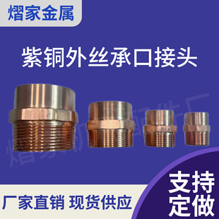 NPT�ݼy�������~TP2�п���zֱ�ӷ�-4���~���ݼy���^ˮů��z��