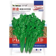 ������;���~�F�U��ܾݴԭ�b�ͺ��ͺ��͝��ļ��Nֲ��˷N�Ӵ��~�N