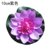 Purple, 10cm