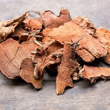 ����1000��ș�ĬF؛���l���������ټt��������؛ sarsaparilla