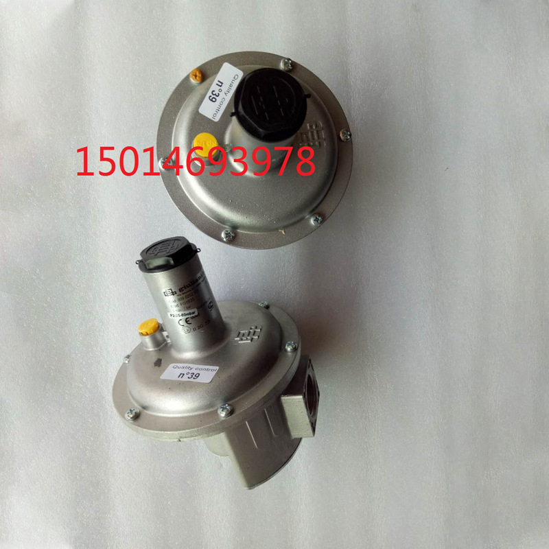 现货供应ST4B25，ST4B50朱丽安尼天然气调压器