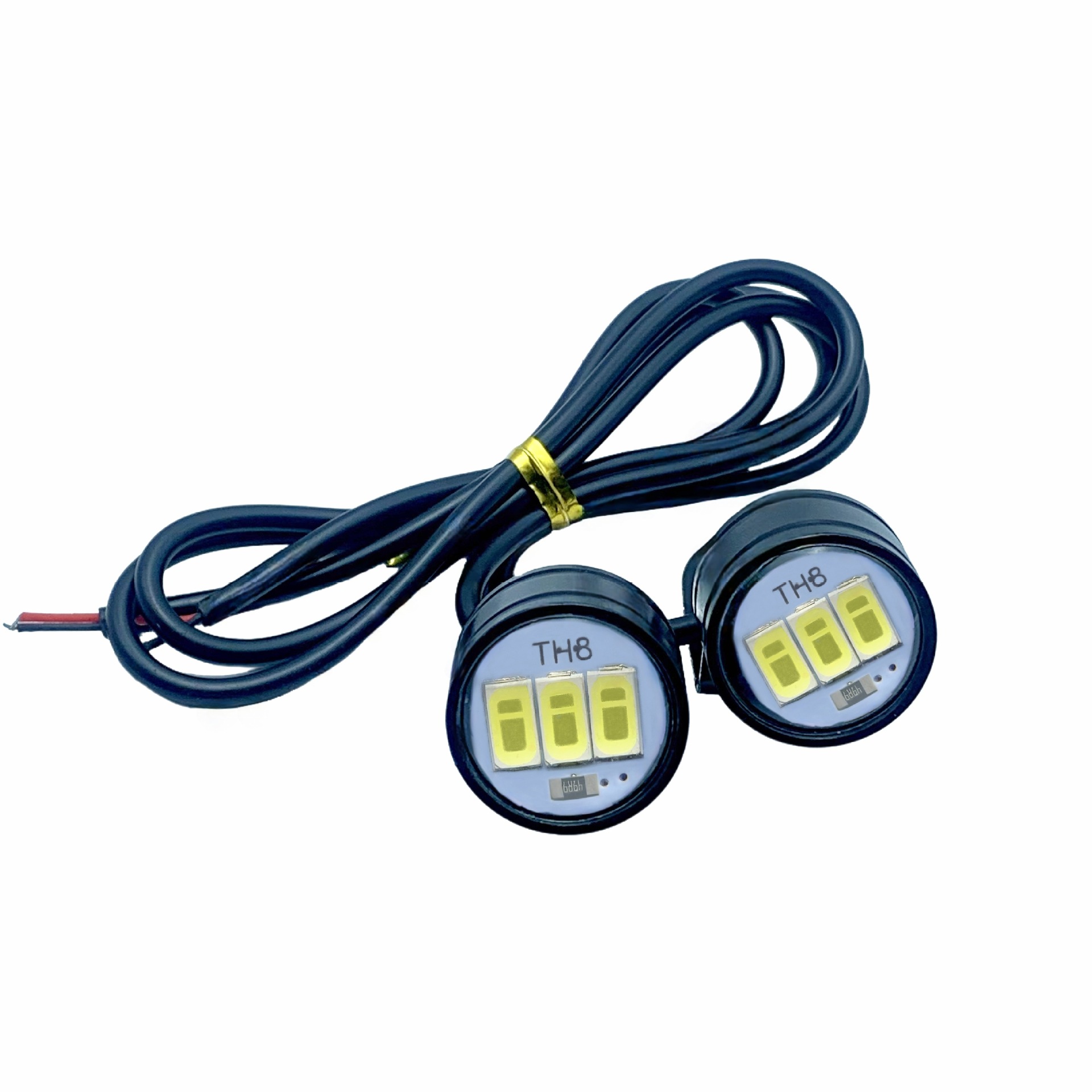 微信图片_20250226003259