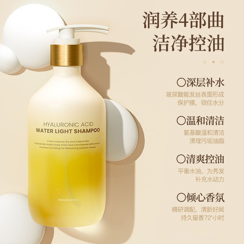 Hyaluronic 산성 물 빛 제어 오일 샴푸 600ml/단일 병 (정원병)