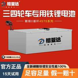 全新大功率三四轮电动车锂电池60V72V家用拉货快递大容量铁锂电瓶