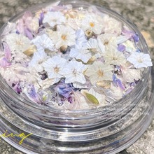日系smint新款同款混彩干花五星立体小花美甲diy耳饰配件多色押花