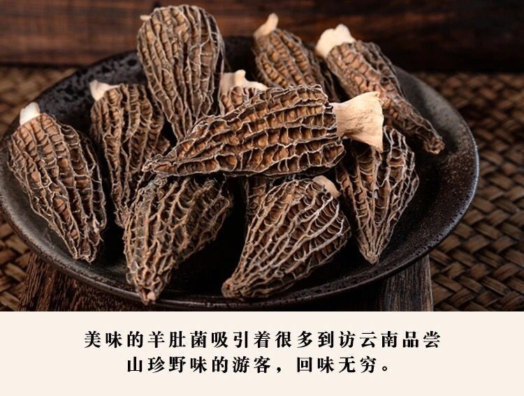 Dried Morel Mushrooms Yang Du Jun Morchella Whole Wild Foraged Yunnan Culinary Gourmet Soup Fungi overview