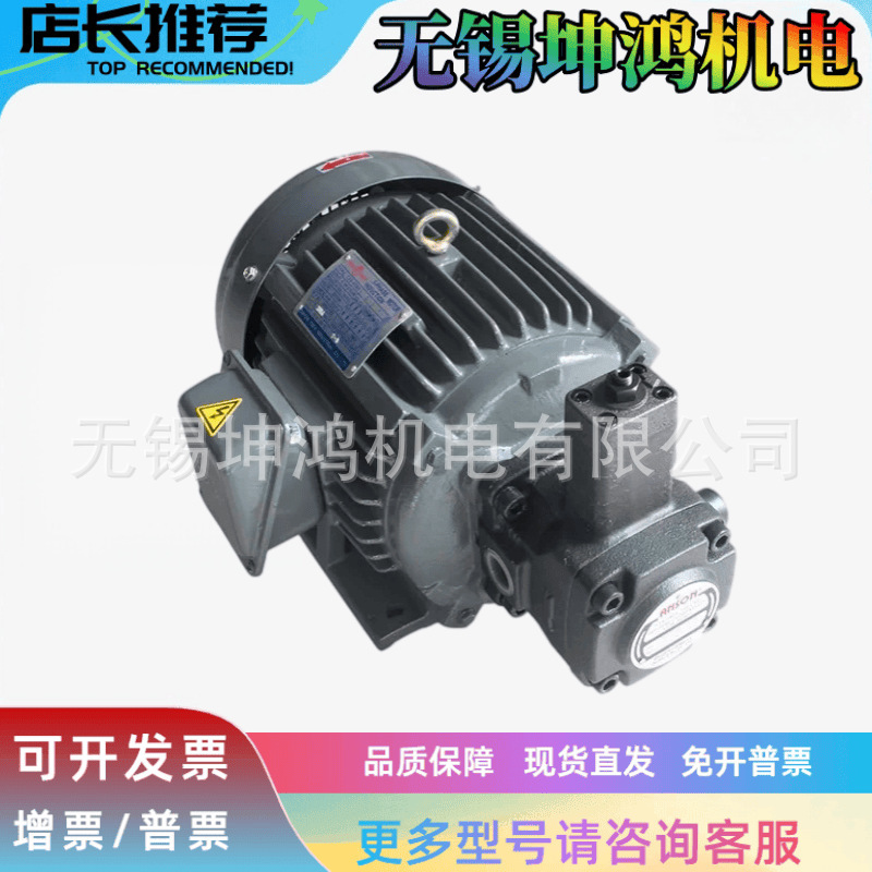 Taiwan S.Y Group internal shaft oil pump motor C01/C02/C03/C05/C10/C15/C7B-43BO/0 Taiwan S.Y Group internal shaft oil pump motor C01/C02/C03/C05/C10/C15/C7B-43BO/0