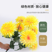 Դ�^���l�羳���滨7�^ƽ�վջ�����ᘾ��b���ٻ�����