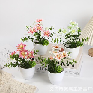 �羳����ȼ����~��ɫ���滨���Կ͏d�ҕ���b�ˇ�ٻ��辰�[��