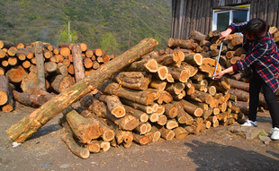 ���ľ��ľ��ɣ����ľľ���湤ˇ�͹���������ϴ�eɽӲľ