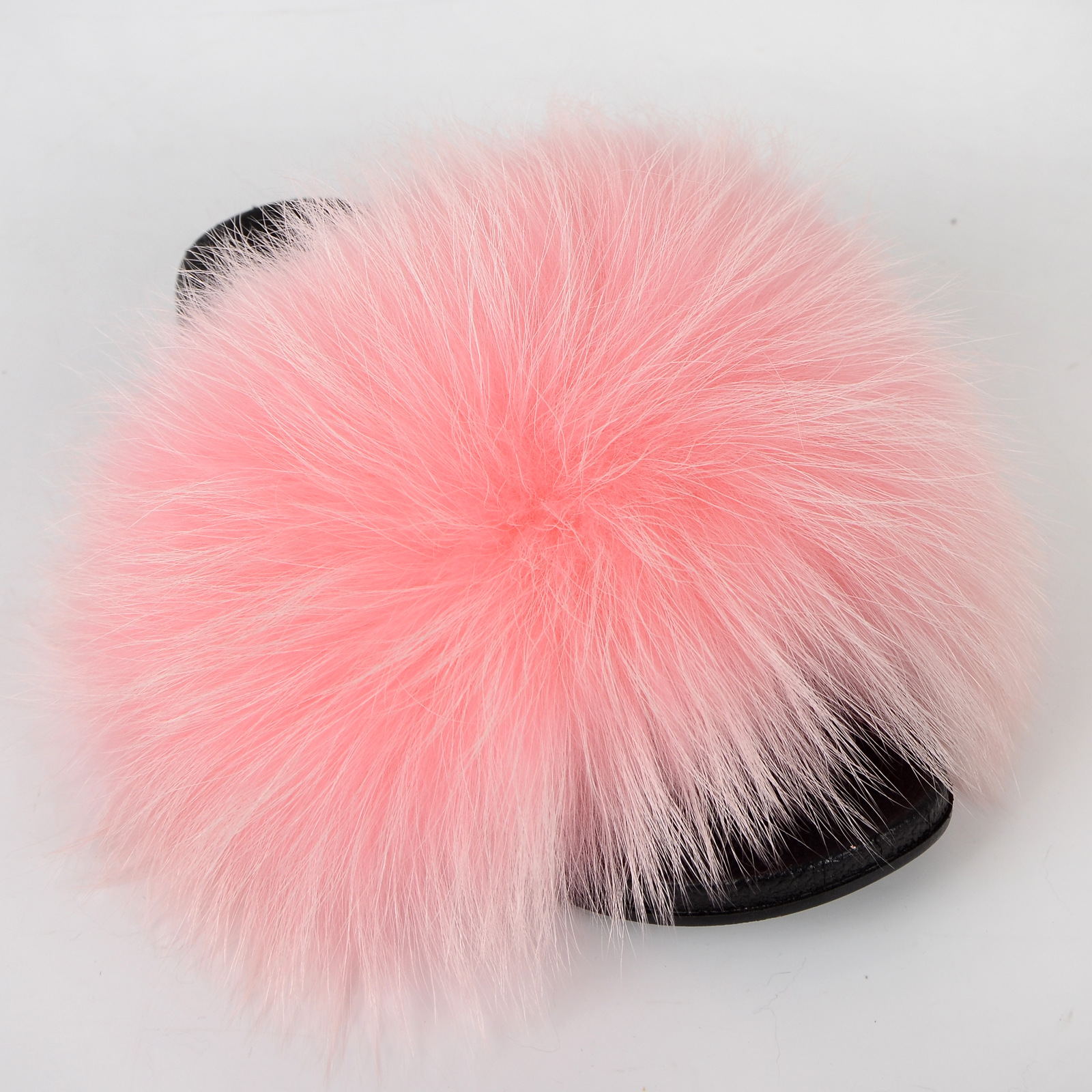 DSC_1493.jpg