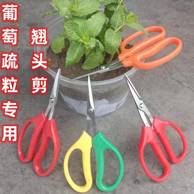 葡萄疏粒翘头剪蔬果尖头剪园艺剪子阳光玫瑰采果专用不锈钢采摘剪