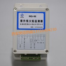 �|������ˮ�נt����̽�y��RXZJ-102 ݔ���_�P����̖220V���