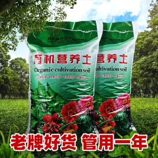 �I�B��ͨ���B������100��N����ֲ�����������������ܻ����Nֲ��