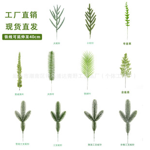 �S�����l����Gֲ�~ާ�ֲ���~�b�����ɢβ���^�F�廨��������Ʒ