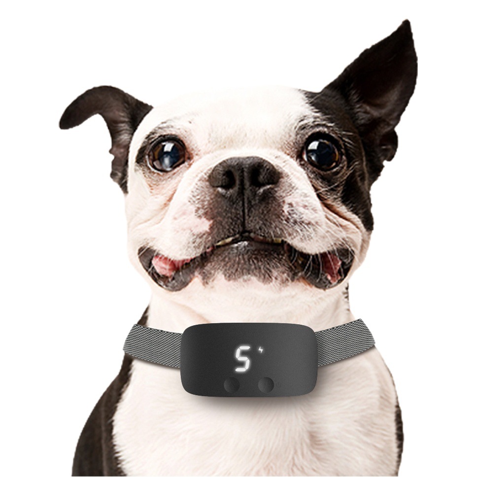 2020 nuevo dispositivo de parada de corteza táctil entrenador de perros anti-perro ladridos suministros para mascotas Amazon AliExpress entrega de una pieza