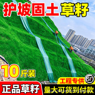 �o�¹��������ͺ��ͺ���������ƺ����é����߅�¾G�����������޼�