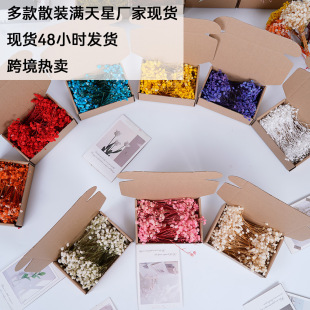 ���羳���N��ɢ�b�M���Ǹɻ������� DIY���� ֧�����l���羳���l