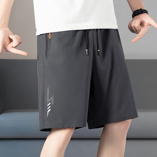 Customized Thin Large Size Quick-Drying Ice Silk Shorts Men's Beach Pants Casual Loose Versatile Youth Sports Pants