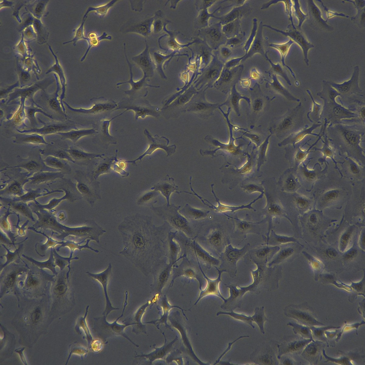 2025-11-05 15:26:03.jpg