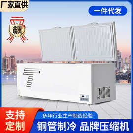 大容量商用卧式冰柜冷藏冷冻速冻双温卧式冰箱肉食冷冻柜三级能效