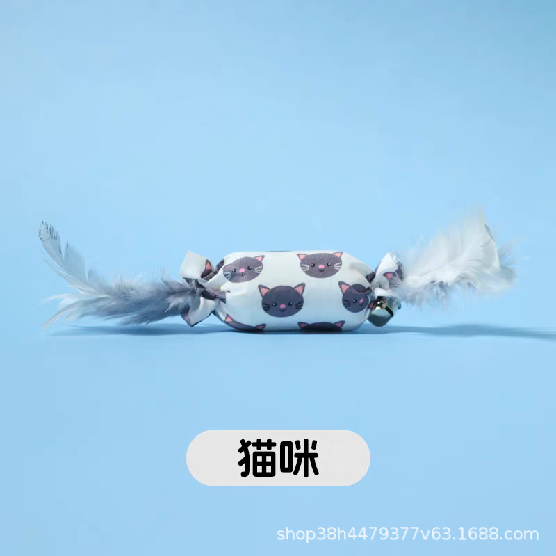 고양이