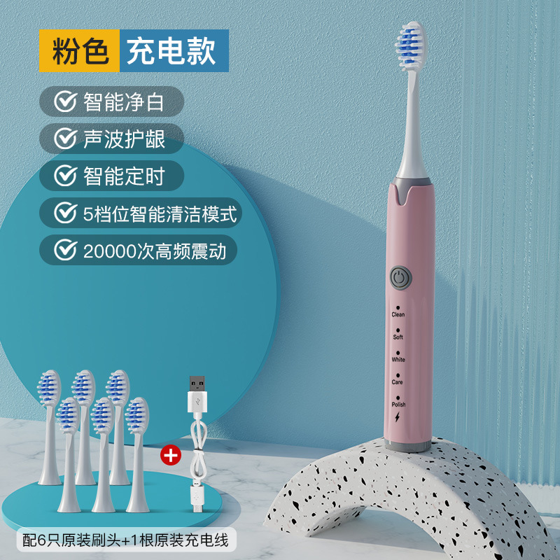 B 핑크 충전 모델 [6 브러시 헤드 + USB 충전 라인]