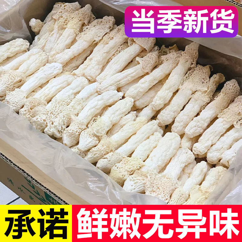 头茬竹荪农家新货无熏硫净重煲汤酿肉竹笙菌菇长裙竹荪火锅食材批|undefined