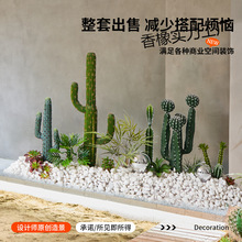 �����������쾰���ΟᎧֲ�����ԙ����������҃ȴ��;��^�b[��