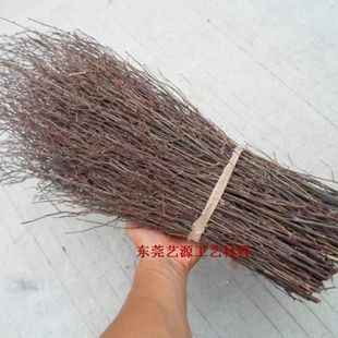 Wholesale supply of craft branches Thorn willow twigs